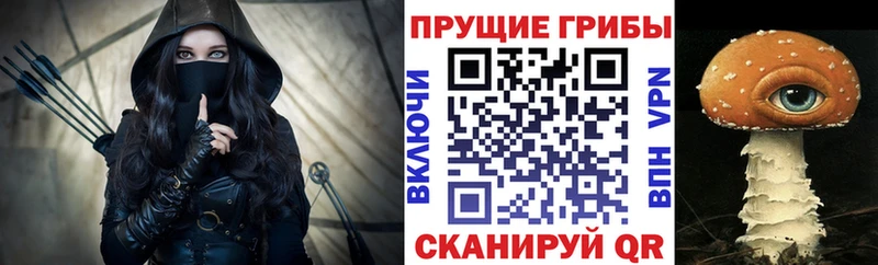 Псилоцибиновые грибы Cubensis  Аркадак 